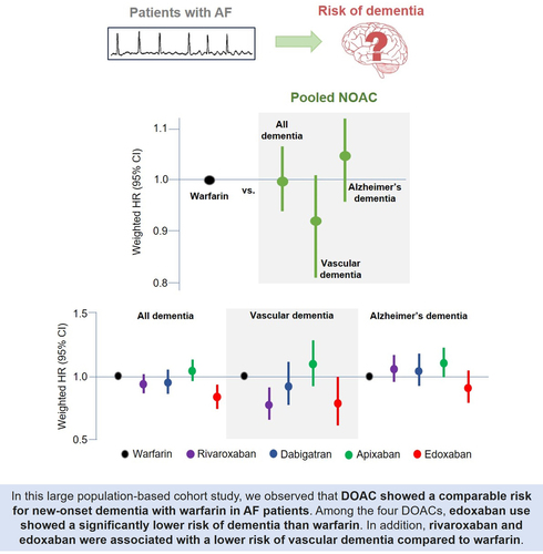 在痴呆風險方面,直介面服抗凝劑是否比華法林更好? 在痴呆風險方面,直介面服抗凝劑是否比華法林更好?
