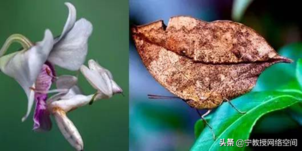 元宇宙科普系列（七）：元宇宙：智慧與賽博使能智慧