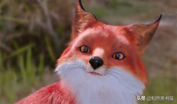 民間故事：迎親路上遇紅狐，新娘臉上變色，堅持回孃家逃過一劫