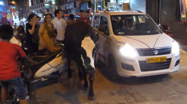 印度小夥認為中國不好，於是坐飛機前來驗證，結果直呼中國太棒了