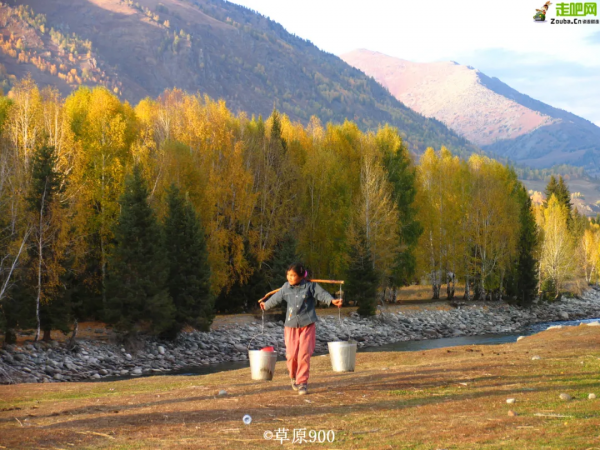 1028名日本人報名遊新疆？新疆顏值實錘了，一年四季，美麗不停歇