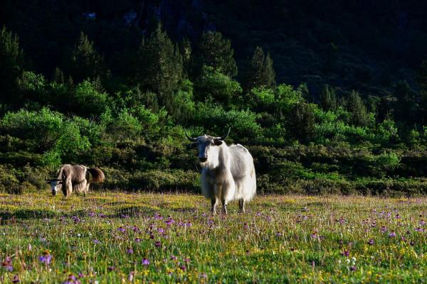 中國8處意外之美的地方。你知道幾個？