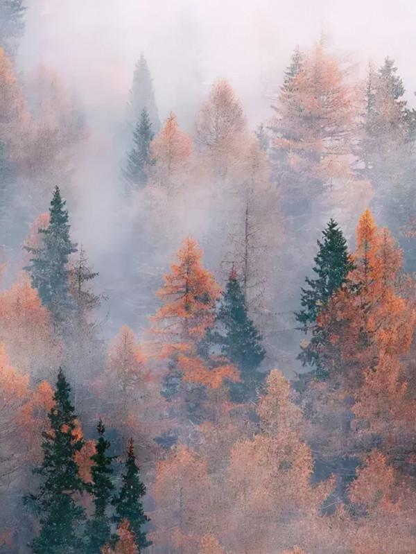 去秋天裡,遇見最美配色 去秋天裡,遇見最美配色