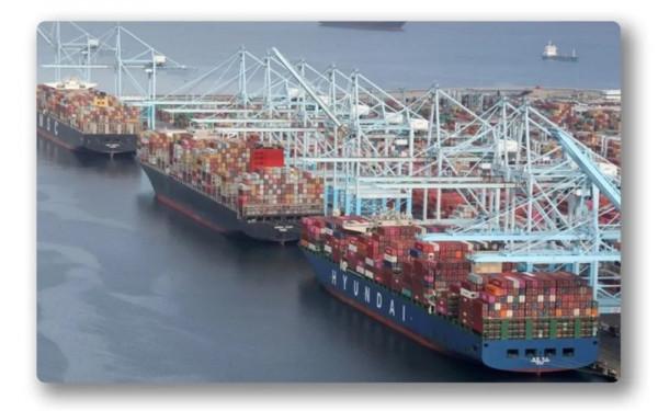 「深譚」這個節過得有點“冷”:來自美國15個家庭的調查 「深譚」這個節過得有點“冷”:來自美國15個家庭的調查