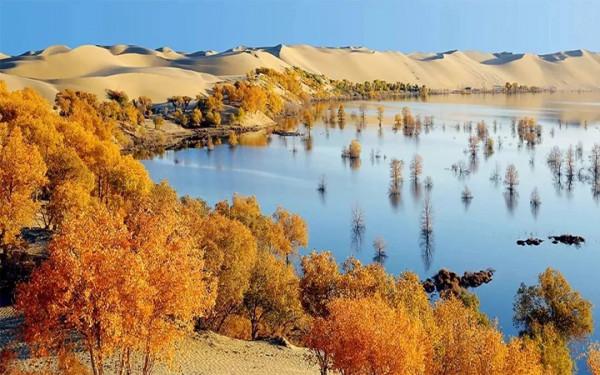 新疆沙漠中的&OpenCurlyDoubleQuote;地下海洋&rdquo;，為什麼遲遲不開採？開採了會怎麼樣？