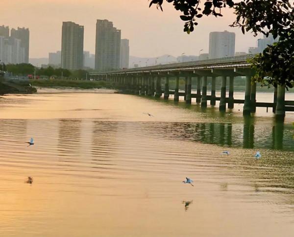 三個理由！返鄉置業不應盲推