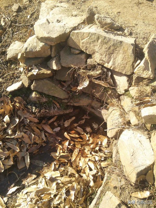 冬至驢行泰山之黃石崖，老平臺，映霞峰，桃花峪東西穿越