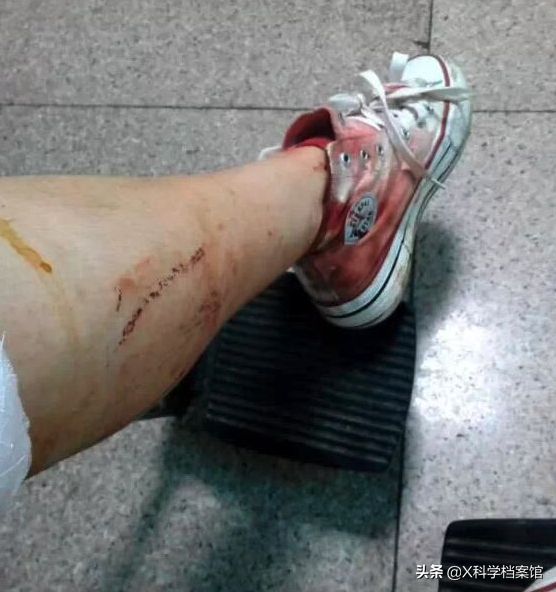 偷錢、殺人、綁架,印度猴子無惡不作,老百姓們為何拿它們沒辦法 偷錢、殺人、綁架,印度猴子無惡不作,老百姓們為何拿它們沒辦法