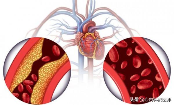 谷維素和維生素B12如何吃？醫生詳細解答，不妨來了解一下