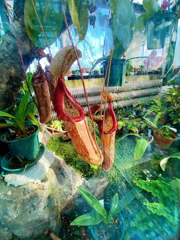 北京週末去哪兒?冬天室內遊玩遛娃的好地方!門票只要10塊錢 北京週末去哪兒?冬天室內遊玩遛娃的好地方!門票只要10塊錢