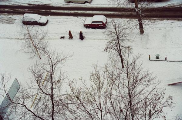 狗在莫斯科 狗在莫斯科