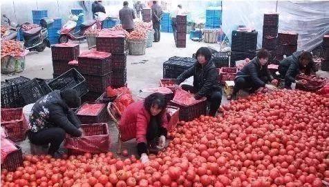 拆土灶!每戶補助二千元,農村停止建房不許翻修?這是什麼原因? 拆土灶!每戶補助二千元,農村停止建房不許翻修?這是什麼原因?