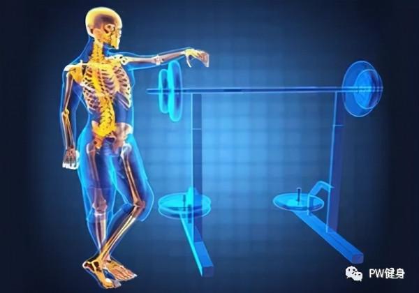 額外肌肉訓練——路易斯。西蒙斯 你知道麼？
