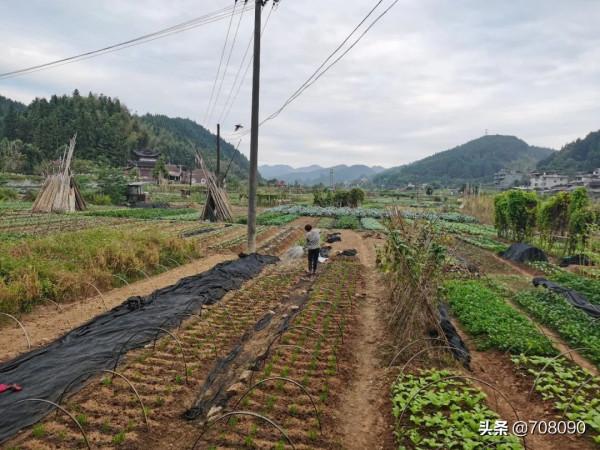 一個人的旅程(下) 一個人的旅程(下)