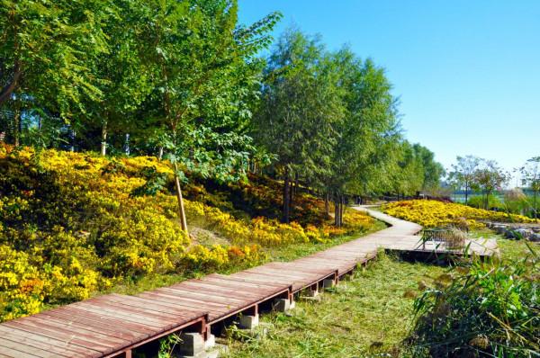 北京浪漫風車之旅,就在五環外的這個公園,免費景美有花有水 北京浪漫風車之旅,就在五環外的這個公園,免費景美有花有水