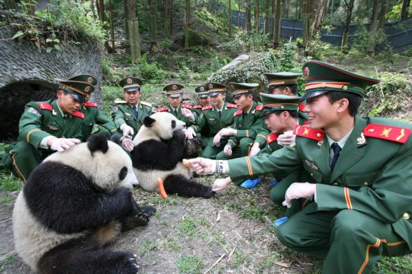 我和國寶大熊貓的N次親密接觸