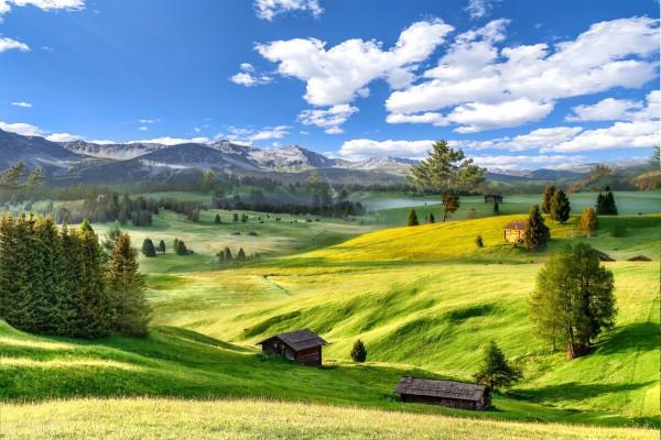 分享圖片～草原