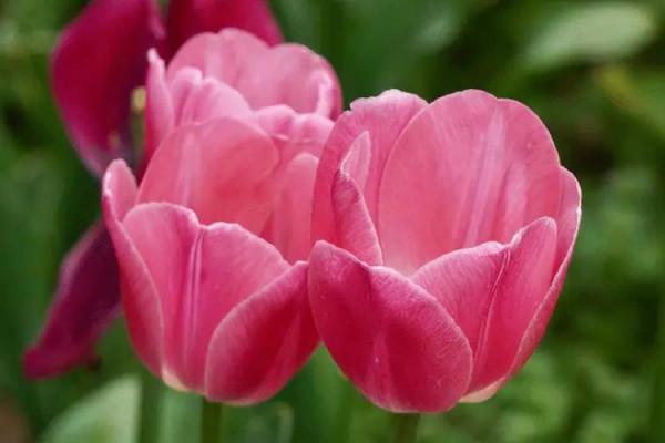 「隨筆」永遠的祝福