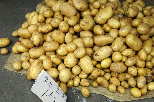 冬天囤購蔬菜,優先購買這6種,耐儲存,營養足,多買點也沒關係 冬天囤購蔬菜,優先購買這6種,耐儲存,營養足,多買點也沒關係