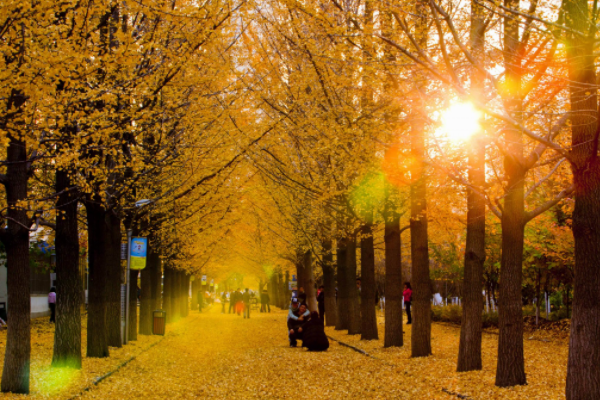 國慶賞秋該去哪?遼寧這6處景點千萬不能錯過,個個不輸北京香山 國慶賞秋該去哪?遼寧這6處景點千萬不能錯過,個個不輸北京香山