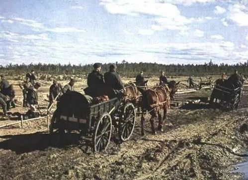 60年代林彪提出的全軍騾馬化，遭到眾人強烈反對，是開歷史倒車？
