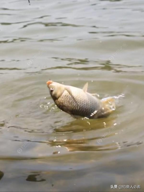 如何有效避免大魚切線