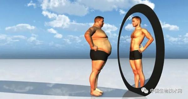 壓力太大，心情太差？那就去照照鏡子啟用“獎勵途徑”...