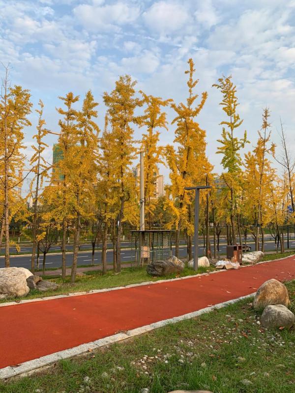 西高新絲路科學城國際社群,絕美風景,秋日勝春朝 西高新絲路科學城國際社群,絕美風景,秋日勝春朝