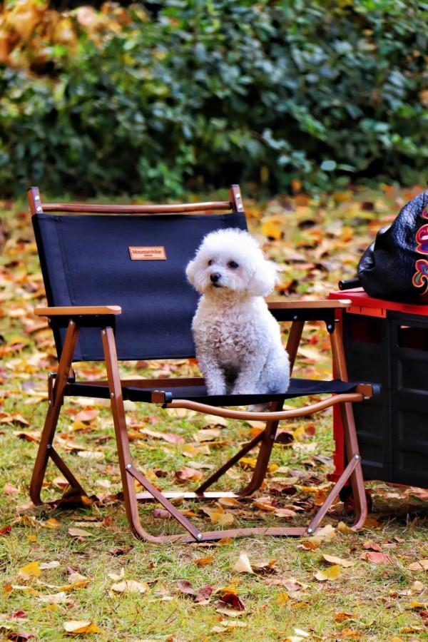 秦皇島北戴河秋天的美景