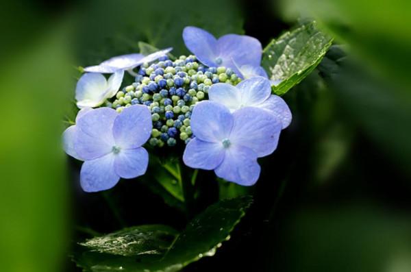 &OpenCurlyDoubleQuote;有無福氣，一看便知&rdquo;：一個家庭的福氣，取決於這三個人的貌相