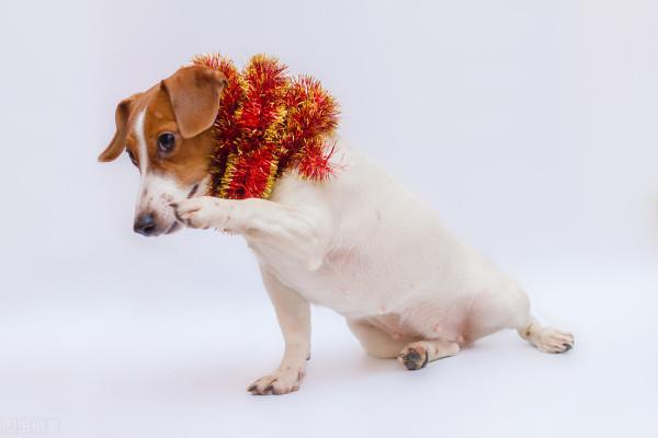 當你覺得快要撐不下去時,不妨看看這幾句話 當你覺得快要撐不下去時,不妨看看這幾句話