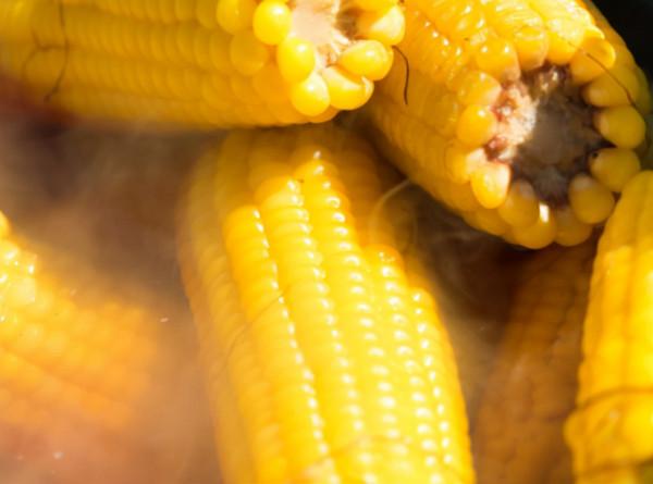 “老得慢”的女性,多半愛吃5種食物,看看有沒有你愛吃的 “老得慢”的女性,多半愛吃5種食物,看看有沒有你愛吃的