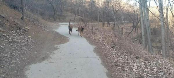 魯家峪的故事(2021－1129)