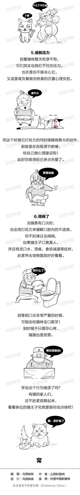貓主子打哈欠是因為犯困了？