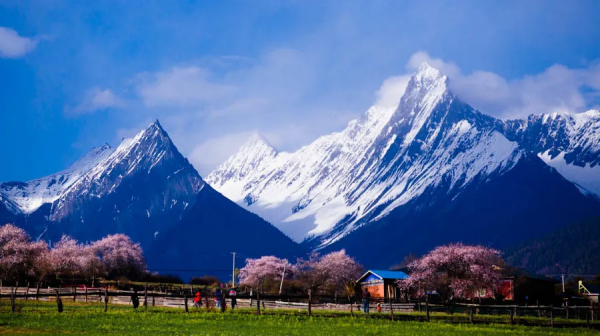 2022我不想再猶豫！旅行第一站，西藏