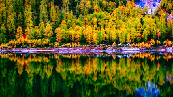 最美秋色徒步路線！去一趟這裡，相當於去過了北疆、壩上、雲南