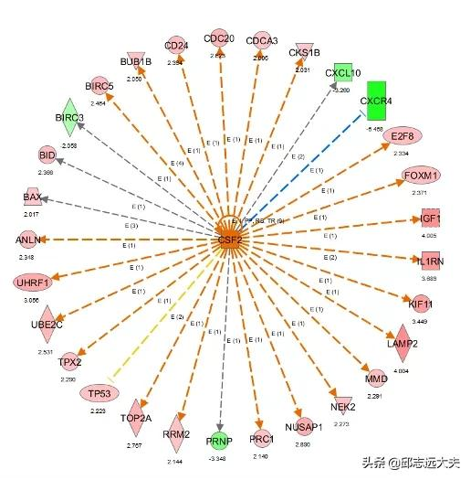 一文解鎖機制研究神器——IPA分析 一文解鎖機制研究神器——IPA分析