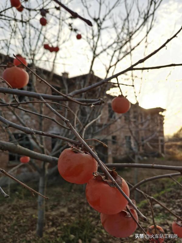 探訪蒲白鐵路之四～杜康火車站
