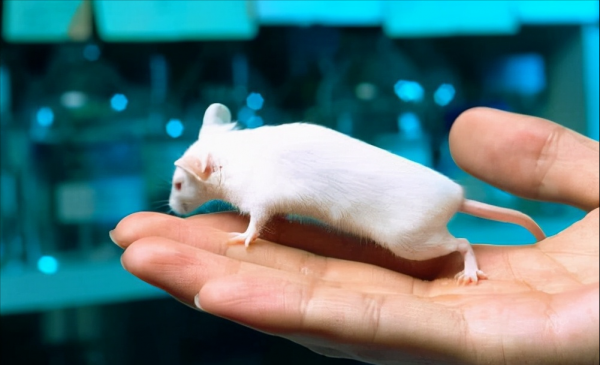 泰國&#39;重生&#39;實驗：泰國夫妻花50萬冷凍女兒遺體，想在未來讓她復活