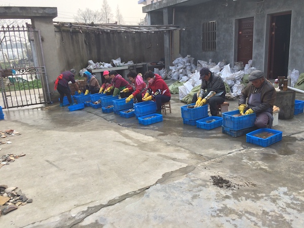 百年考古記｜上海千年寺院地宮發掘紀實