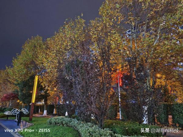 VIVO X70Pro+和OPPO reno6 pro+夜景拍照對比賞析「第2期」 VIVO X70Pro+和OPPO reno6 pro+夜景拍照對比賞析「第2期」