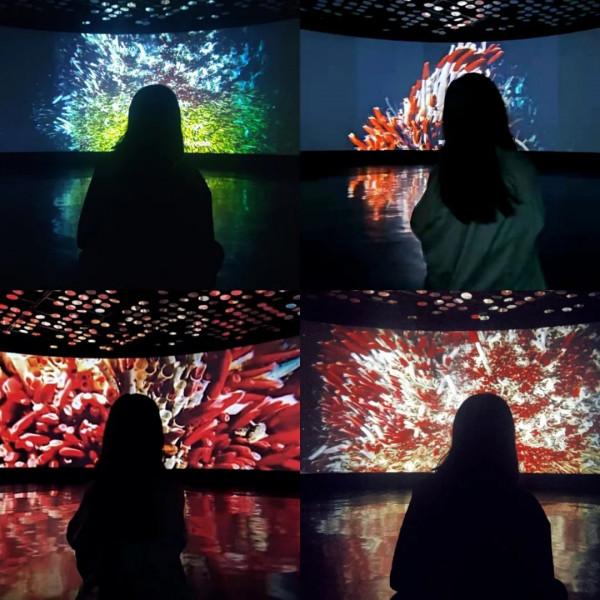 打卡！同濟這個神秘浪漫“基地”火出圈