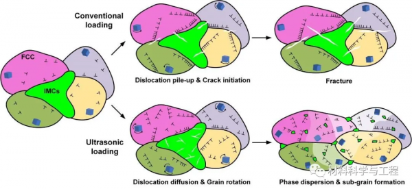 《Acta Mater》：多組分熵合金在高頻動態載入下的獨特變形機制