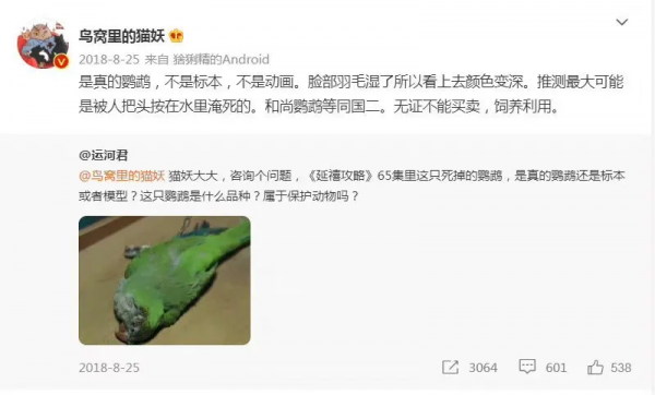 所以於正劇組虐貓了嗎