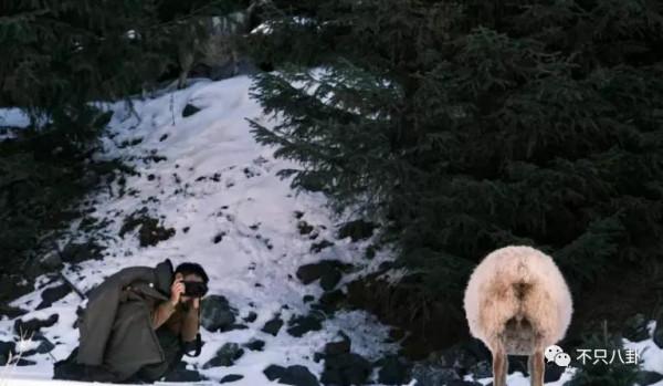 不是吧!神仙愛情裡居然吃出了狗血三角戀瓜? 不是吧!神仙愛情裡居然吃出了狗血三角戀瓜?