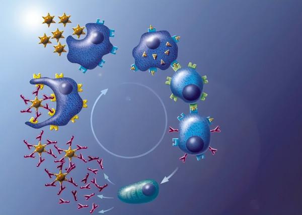 斷食2天可以“重啟”人體免疫系統，是真的嗎？不妨看看一項研究