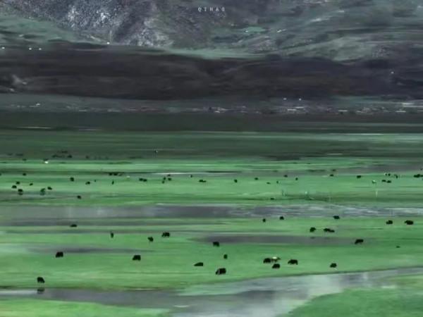 文案 | 那些讓人歎為觀止的絕美人間詩句與你分享美好的