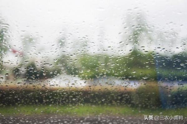明天八月十三，俗語“澇不澇，就看八月十三”，下半年雨水多嗎？