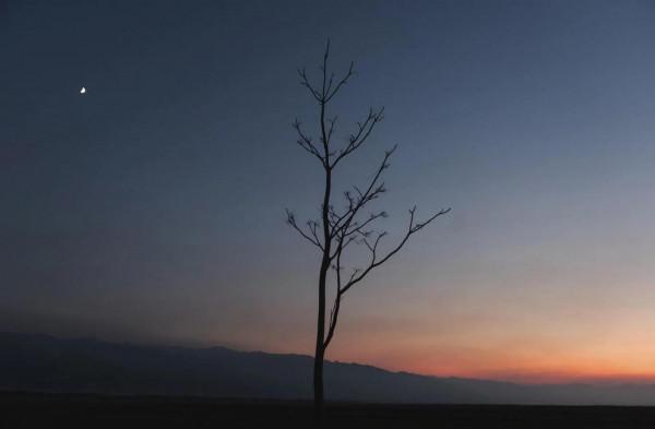 現在你擁有的平凡，也許是最好的日子