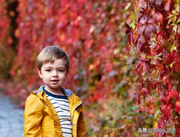 你還記得深秋英國的樣子嗎?若你還在,與你共享 你還記得深秋英國的樣子嗎?若你還在,與你共享